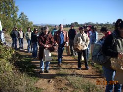 Jornada Micolgica