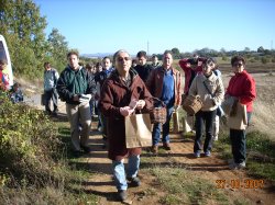 Jornada Micolgica