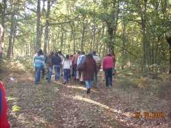 Jornada Micolgica