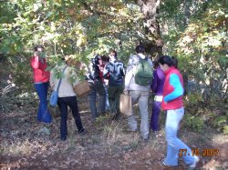 Jornada Micolgica