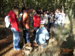 Jornada Micolgica