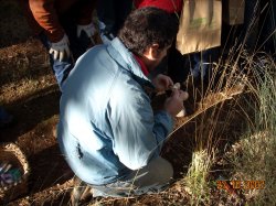 Jornada Micolgica