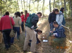 Jornada Micolgica