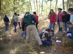 Jornada Micolgica