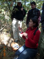 Jornada Micolgica