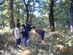 Jornada Micolgica