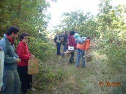 Jornada Micolgica