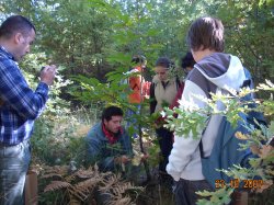 Jornada Micolgica