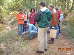 Jornada Micolgica