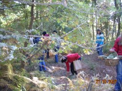 Jornada Micolgica