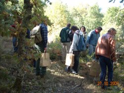 Jornada Micolgica