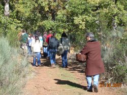 Jornada Micolgica