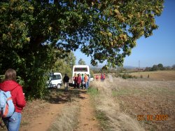 Jornada Micolgica