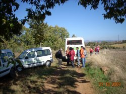 Jornada Micolgica