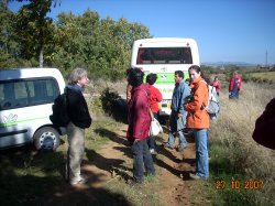 Jornada Micolgica