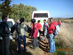 Jornada Micolgica