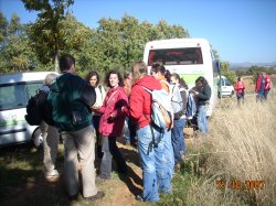 Jornada Micolgica