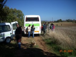 Jornada Micolgica